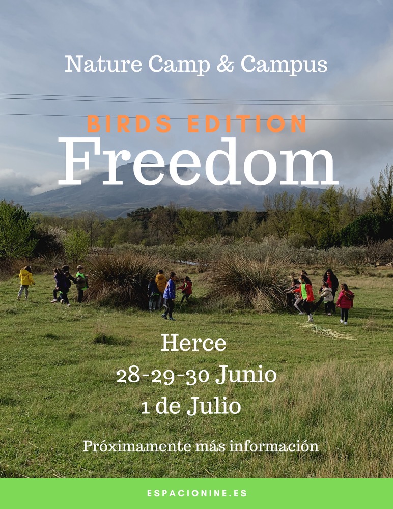 Campamento verano La Rioja - Freedom Birds Edition