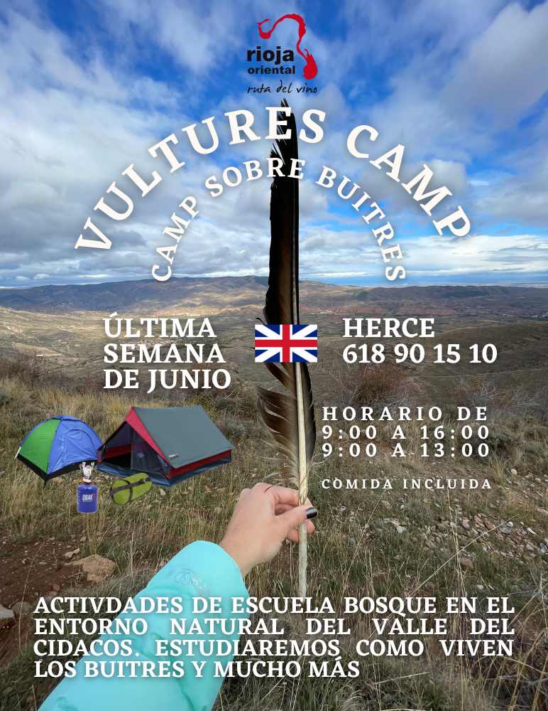 Campamento educativo bilingüe La Rioja: Vultures Edition